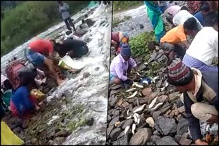 People rush fishing in Tumkur