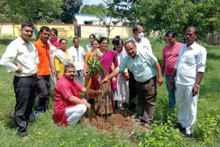 आजादी के अमृत महोत्सव के उपलक्ष में अनुमंडल अस्पताल के सभी चिकित्सकों ने वृक्षारोपण कर सभी को स्वस्थ रहने  का दिया संदेश