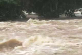 Hogenakkal waterfalls disappeared chamrajnagar