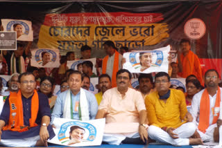 BJP leader Rahul Sinha slams TMC on Vice Prez Election issue