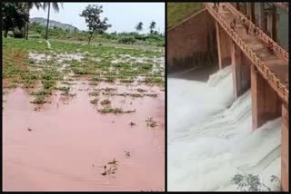 crop loss due to Outflow of Taranagara reservoir in Bellary