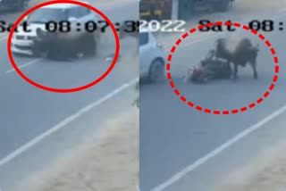 stray-bull-hits-biker-in-punjab-barnala