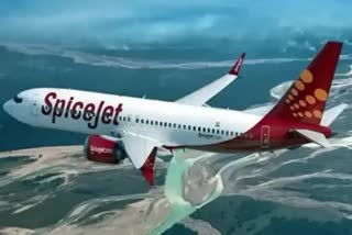 Spicejet