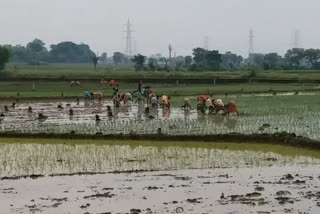 Jharkhand farmers upset