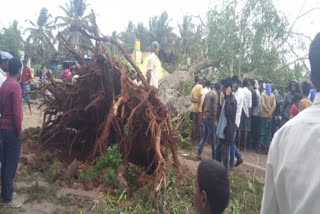 two-wheeler-rider-died