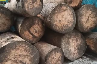 ترال میں غیر قانونی لکڑی ضبط