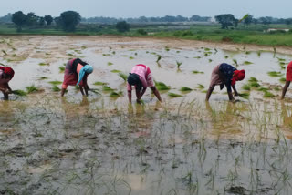 jharkhand weather updates