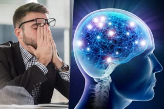 Stress may also good for brain functioning  Scientists on Stress and Brain functioning  Studies says on Stress and Brain functioning  Latest News in health  How Stress is beneficial  നല്ല സമ്മര്‍ദ്ദം  നല്ല സമ്മര്‍ദ്ദം തലച്ചോറിന് ഗുണം ചെയ്യും  ആരോഗ്യമേഖലയിലെ പുതിയ പഠനഫലങ്ങള്‍  ജോലിപരമായ സമ്മര്‍ദ്ദങ്ങളും പിരിമുറുക്കങ്ങളും  ജോർജിയ സർവകലാശാല  പുതിയ പഠനഫലങ്ങള്‍ പുറത്ത്  University of Georgia  Psychiatry Research  Youth Development Institute  Assaf Oshri  What is Stress