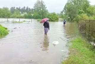 Kodagu villages flooded due to rain