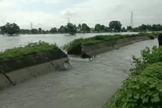 Talk of action after breaking the Bargaon canal