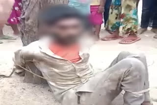 Son in Law tied with a tree and beaten in dausa