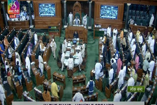 Over 300 matters of public interest raised in Lok Sabha this session