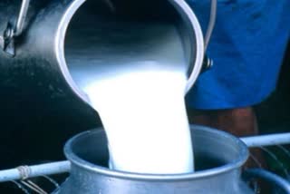 Indore Milk Price