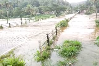 thadiyampadu Causeway danger situation  idukki thadiyampadu Causeway in danger  തടിയമ്പാട് ചപ്പാത്ത് അപകടാവസ്ഥയിൽ  തടിയമ്പാട് ചപ്പാത്ത് മരത്തടി വന്നടഞ്ഞ് അപകടത്തില്‍  തടിയമ്പാട് ചപ്പാത്ത്  thadiyampadu Causeway  കേരള ഇന്നത്തെ വാര്‍ത്ത  ഇടുക്കി ഇന്നത്തെ വാര്‍ത്ത  idukki todays news