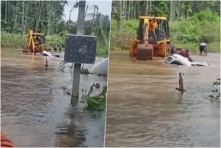 car in flood water