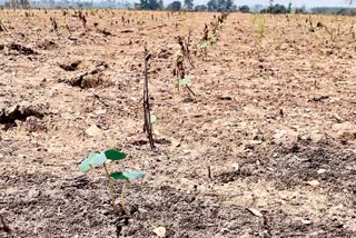 farmers problems due to heavy rain