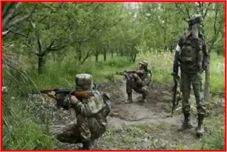 Budgam encounter