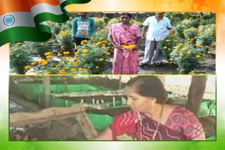 Etv Bharatકૃષિક્ષેત્રે 'નારી તું નારાયણી' પંક્તિને સાર્થક કરતી મહિલા ખેડૂતો લોકોને આપે છે પ્રેરણા