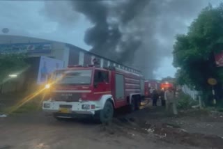 Fire Case in Surat : સુરતમાં આગનો સિલસિલો યથાવત, કબૂતરો બન્યા ભોગ