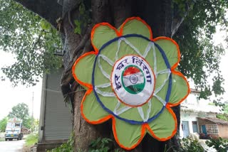 Rakhi tied to a tree in Balod