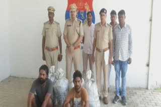 Hodal CIA arrested drug smugglers