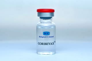 Covishield  CORBEVAX booster shot approved for 18 years and above jabbed with Covaxin and Covishield  Covaxin  CORBEVAX  CORBEVAX booster  ബൂസ്റ്ററായി കോർബെവാക്‌സ്  ബൂസ്റ്റർ ഡോസായി കോർബെവാക്‌സ്