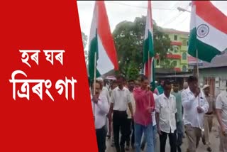 Tricolour flag rally