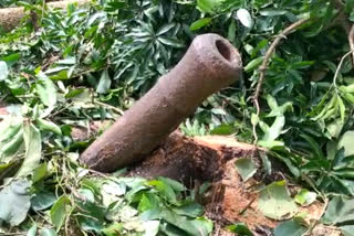 old cannon found in kannur  cannon found in kannur  taliparamba cannon found  cannon latest news  തളിപ്പറമ്പ് പീരങ്കി കണ്ടെത്തി  പീരങ്കി കണ്ടെത്തി  സ്വകാര്യ വ്യക്തിയുടെ പറമ്പില്‍ പീരങ്കി കണ്ടെത്തി  കണ്ണൂർ ജില്ല വാര്‍ത്തകള്‍  കണ്ണൂർ പീരങ്കി