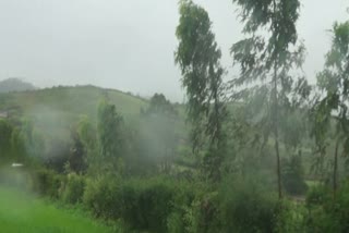 heavy rainfall in koraput