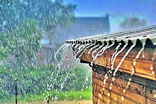 Rainwater everywhere on planet unsafe to drink: Stockholm University study