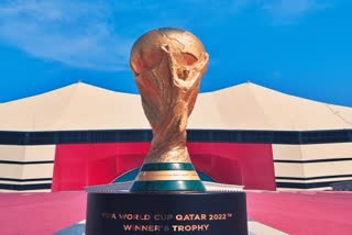 Qatar World Cup  खेल समाचार  कतर वर्ल्ड कप  फुटबॉल न्यूज  Sports News  Football News
