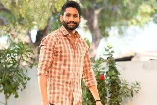 naga chaitanya laal singh chaddha