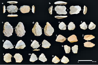 Old stone tools found