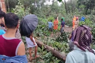 Cyclone in Malppuram Emanagad  Cyclone in Malppuram Emanagad makes huge Damage  Cyclone made huge Damages in Malppuram Emanagad  Malappuram Latest News  Malappuram Cyclone News  Malappuram Local News  ചുഴലിക്കാറ്റിൽ എമങ്ങാട് വ്യാപക നാശനഷ്‌ടം  മലപ്പുറം എമങ്ങാട് വീശിയടിച്ച ചുഴലിക്കാറ്റില്‍ വ്യാപക നാശനഷ്‌ടം  വീടുകളും വൈദ്യുതി തൂണുകളും തകര്‍ന്നു  വീശിയടിച്ച ചുഴലിക്കാറ്റിൽ വ്യാപക നാശനഷ്‌ടം  എമങ്ങാട് ജുമാ മസ്ജിദ്  എമങ്ങാട് ജുമാ മസ്‌ജിദ്