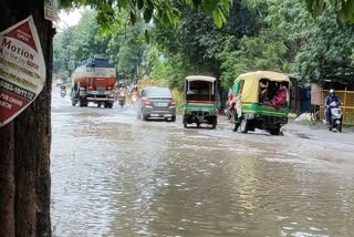 Farmers faces blossomed due to heavy rain in Khunti