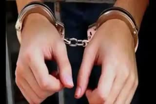 Norwegian woman arrested from Moreh in Manipur