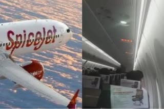 spicejet plane roof leakage