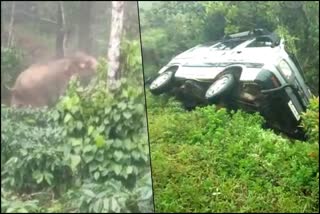 elephant-attack-on-car-in-chikkamagaluru