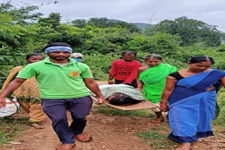 PREGNANT WOMAN CARRIED ON STRETCHER TO HOSPITAL IN RAYAGADA