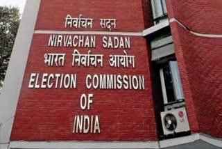 Central Election Commission