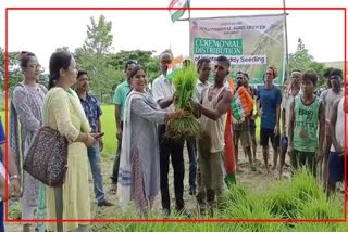 Bokakhat sub-divisional agriculture department distributes seedlings to farmers in Bokakhat