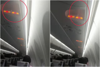 Water drips from flight ceiling triggers panic among flyers of SpiceJet  സ്‌പൈസ് ജെറ്റ് വിമാനത്തിൽ ചോർച്ച  സ്‌പൈസ് ജെറ്റ് 30003 വിമാനത്തിൽ ചോർച്ച  Water drips from SpiceJet flight ceiling  വിമാനത്തിലും കുടപിടിച്ചിരിക്കേണ്ട അവസ്ഥ  സ്‌പൈസ് ജെറ്റ് വിമാനത്തിൽ ഗുരുതര വീഴ്‌ച  വിമാനത്തിൽ ചോർച്ച