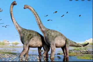 A key feature contributed to sauropods getting so enormous, new dino foot study reveals