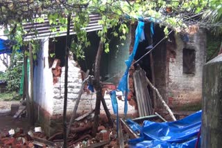 House Collapsed in Idukki Nedumkandam  House Collapsed in Idukki Nedumkandam Due to Rain  Family of Nedumkandam native Seeks support  തലചായ്ക്കാന്‍ ഇടമില്ലാതെ നെടുങ്കണ്ടത്തെ നിര്‍ധന കുടുംബം  നിര്‍ധന കുടുംബം  കനത്ത മഴയില്‍ മര തൂണുകളില്‍ താങ്ങി നിര്‍ത്തിയിരുന്ന വീട് നിലംപൊത്തി  കയറി കിടക്കാന്‍ ഇടമില്ലാതെ നെടുങ്കണ്ടം താന്നിമൂട് ശശിധരന്‍റെ കുടുംബം  നെടുങ്കണ്ടം താന്നിമൂട്  Idukki News  Local News Idukki  മണ്‍ ഇഷ്‌ടിക ഉപയോഗിച്ച് നിര്‍മ്മിച്ച ചെറുവീട്  ലൈഫ് പദ്ധതി  Life Mission  കേരളം മഴ  മഴക്കെടുതി  കേരളത്തിലെ ഇന്നത്തെ കാലാവസ്ഥ  ജില്ല വാര്‍ത്തകള്‍  Kerala Weather News Live Updates