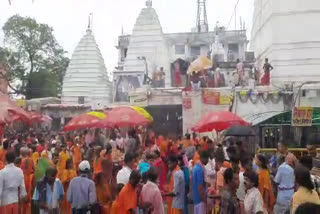 Devotees offer Rakshasutra to Baba