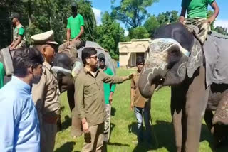 Special program organized in Chila range on the occasion of World Elephant Day