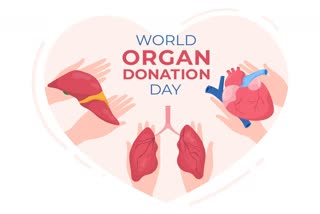 World Organ Donation Day