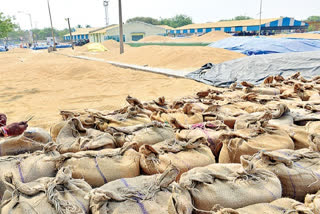 ఉప్పుడు బియ్యం