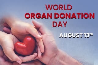 world organ donation day