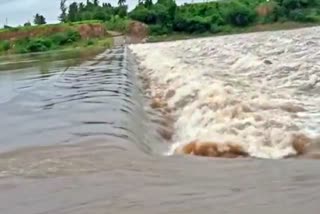Overflowing Bhima river